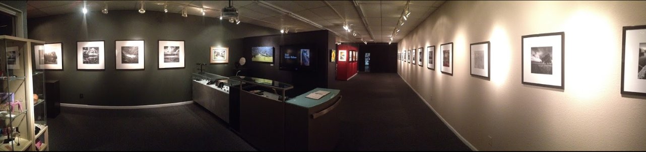 Bluw Wing Gallery interior