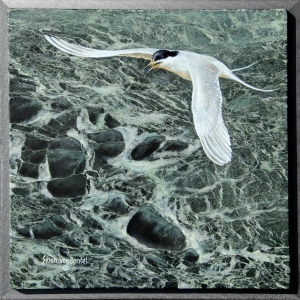 "Tern and Rocks", oil on marble, 12" x 12", $695 