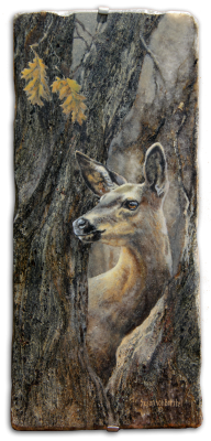 "Curious Doe", oil on granite, 12" x 12", $1800