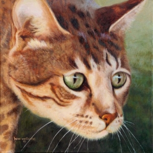 Curious, 20" x 20", oil on canvas, $2300 