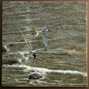Terns, 16" x 16", oil on granite, $595 