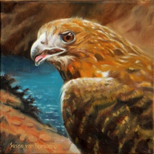 Hawk, 8" x 8", oil on panel, $250