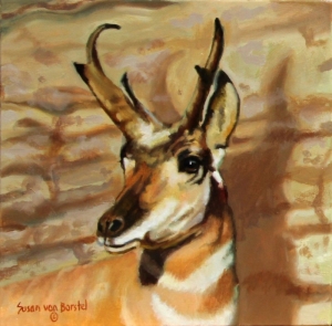 Antelope, 8" x 8", oil on panel, $250