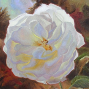 Cannery Rose, 12" x 12", oil on linen, $900