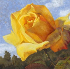 Lemon Rose, 20" x 20", oil on canvas, $2200