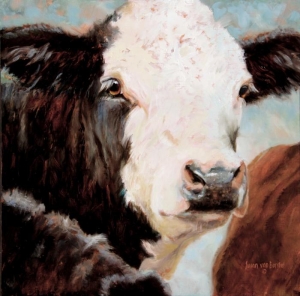 Baldy, 20" x 20", oil on canvas, $2400
