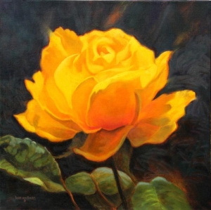 Indian Yellow Rose, 20" x 20", oil on canvas, $2200