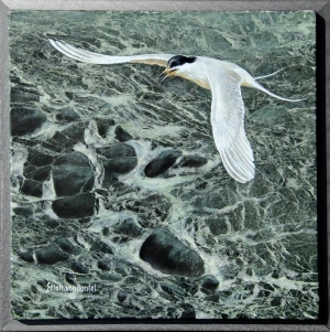 "Tern and Rocks", oil on marble, 12" x 12", $695 