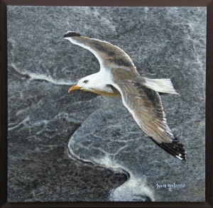 "Grey Gull", oil on granite, 12" x 12", $695 