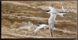 "Terns", oil on travertine, 12" x 24", $1200 