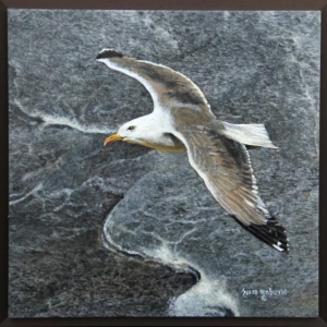 "Grey Gull", oil on granite, 12" x 12", SOLD