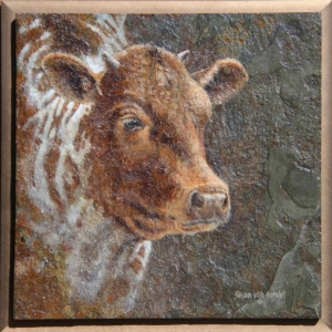 "Longhorn Calf", oil on slate, 12" x 12", $695 